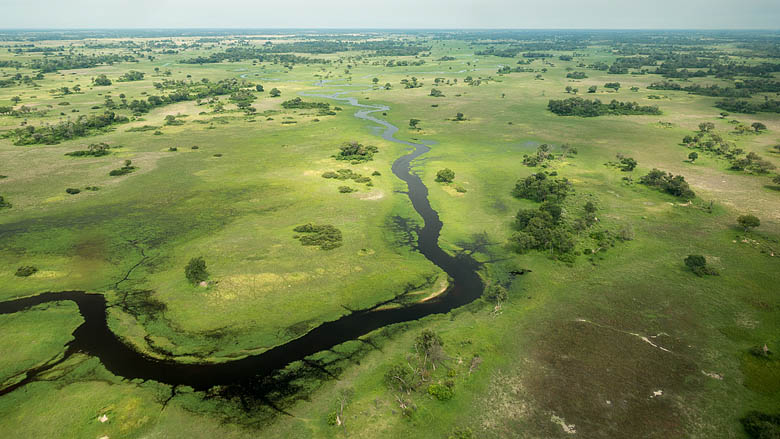 Botswana, Delta Okawango, 