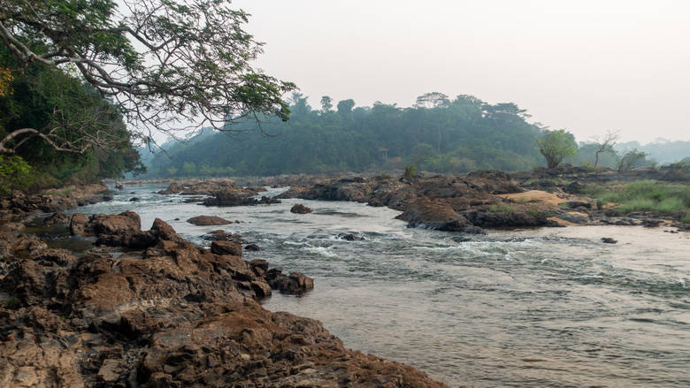 Sierra Leone, Tiwai Island, 