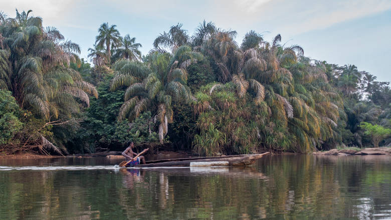 Sierra Leone, Tiwai Island, 