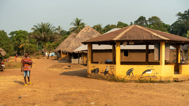 Sierra Leone, Tiwai Island, 