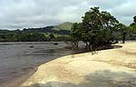 Rzeka Ogooue