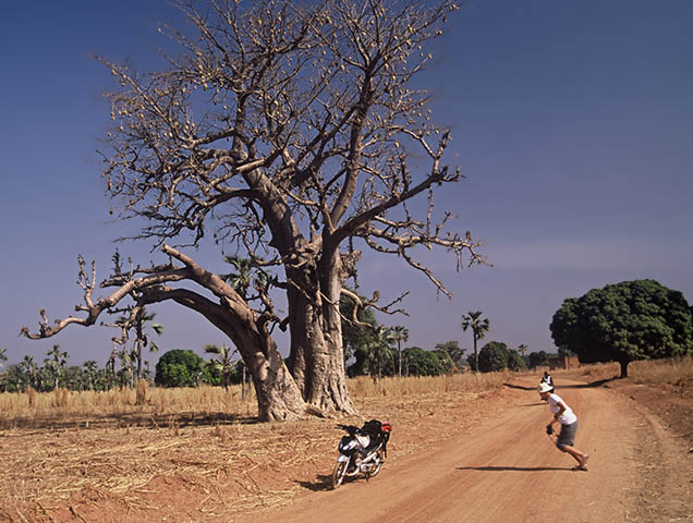 Burkina Faso, Banfora, 
