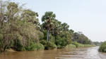 Rzeka Kidepo