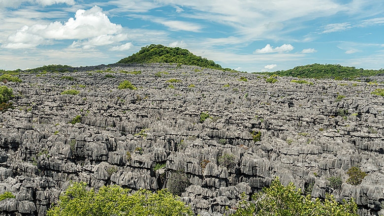 Madagaskar, Park Narodowy Ankarana, 