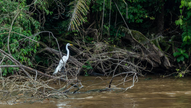 Gabon, Lambaréné, 