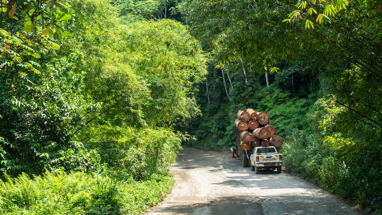Gabon, Ndjol&eacute;, 