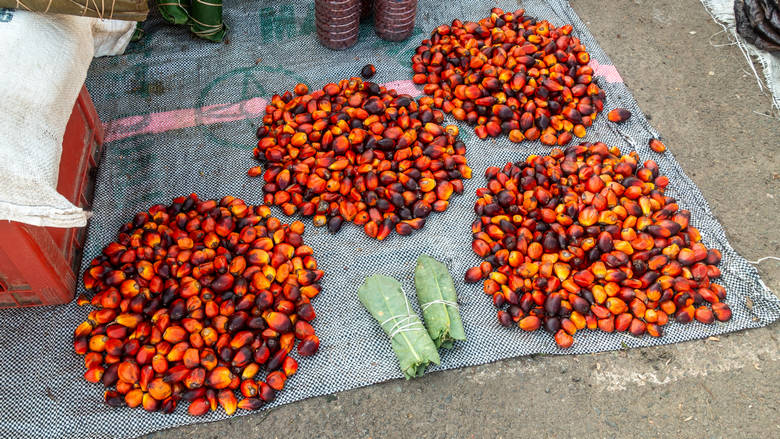 Gwinea Równikowa, Bata, 