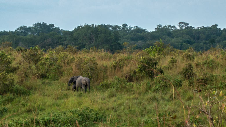 Gabon, Lop&eacute;, 